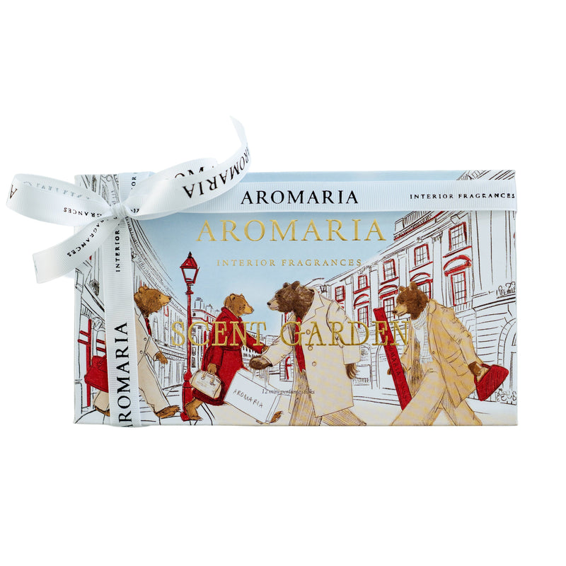 Kit - Holiday Discovery Duo ( Christmas collection)