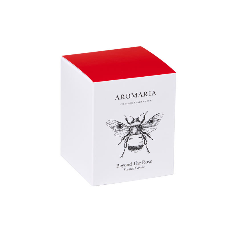 Kit - Refugio Floral Beyond (Navidad)