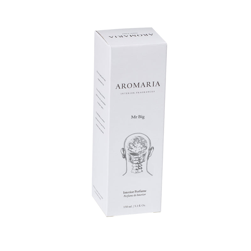 Mr. Big - Aromaria | Interior Fragrances